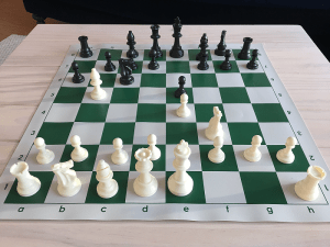 Chess as a Professional Pursuit