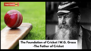 The Foundation of Cricket