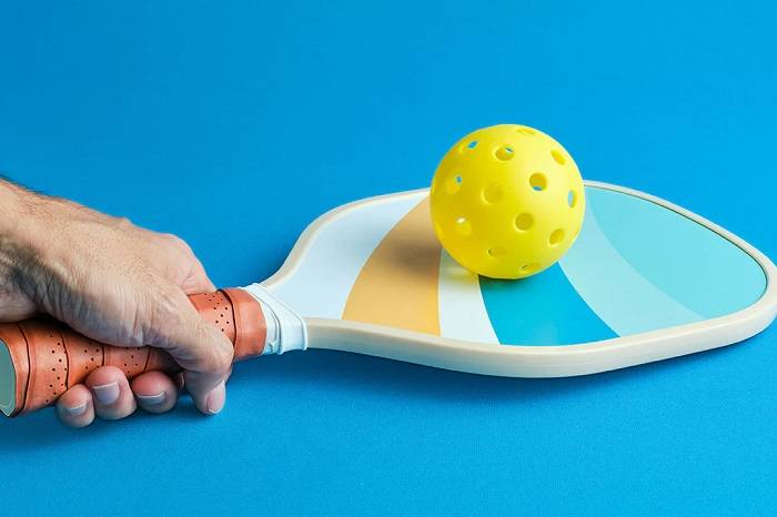 Embracing Pickleball Passion A Brief Introduction