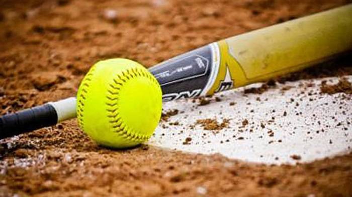 Softball Backgrounds 1