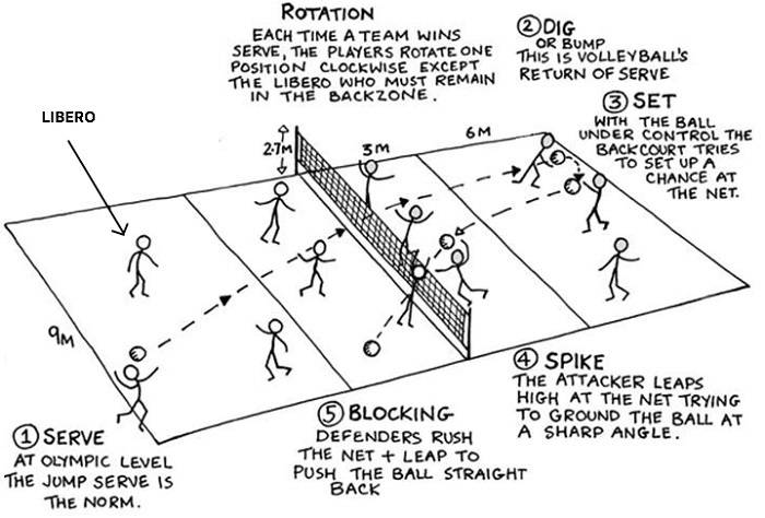 volleyball positions 1