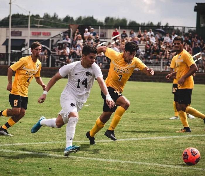 Introduction to D1 in Sports 1