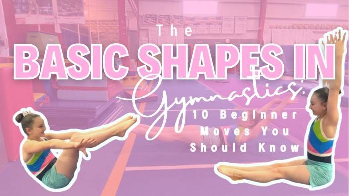 The Foundation Basic Gymnastics Moves
