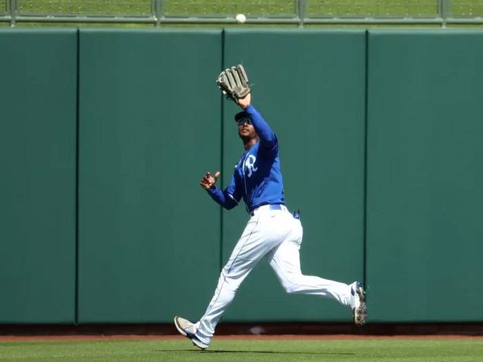 playing the outfieldfdgd