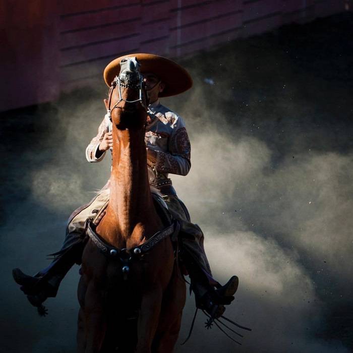 Introduction to Pico Rivera Sports Arena 1