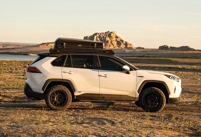 Practical Advantages of a Brown Car 1