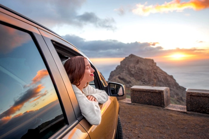 Why Others Choose a Brown Car 1