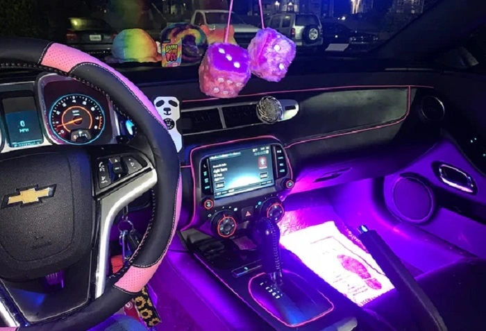 Why Cute Car Accessories Are So Popular 1